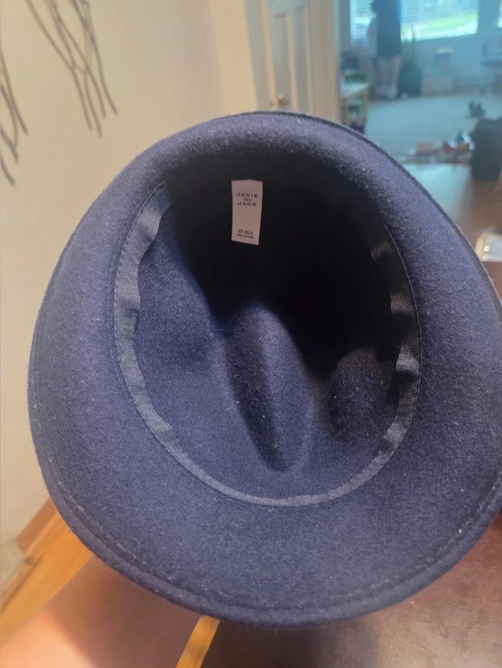 Toddler Fedora- Janie And Jack